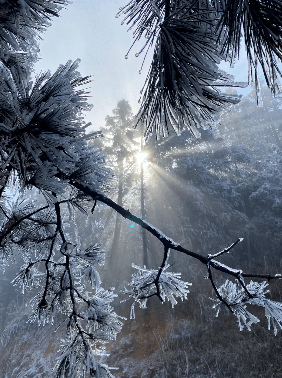 明月山雪景图片