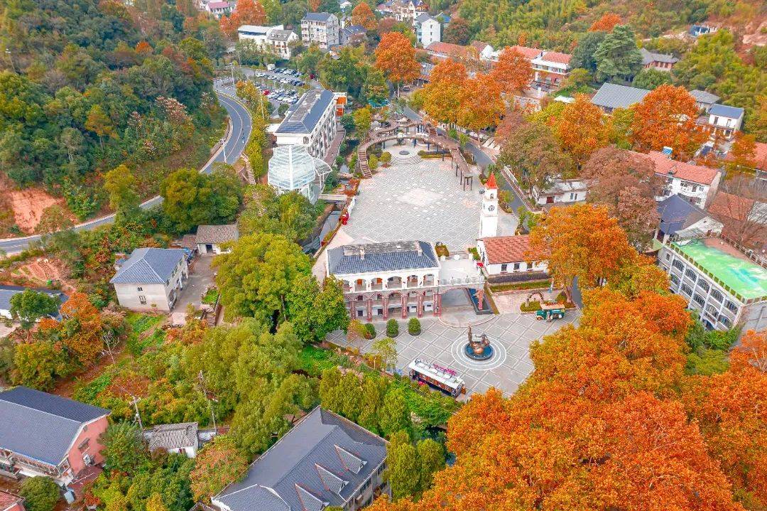 湖州味道|莫干山庾村的宝藏记忆_车站_铁路管理局_三桥