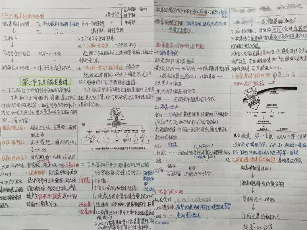 思維的火花在大家的筆下知識性與趣味性相輔相成圖片和文字相得益彰