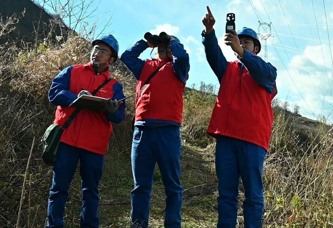 国网凉山越西县供电公司多措并举筑牢电网"防火墙"_线路_工作_宣传