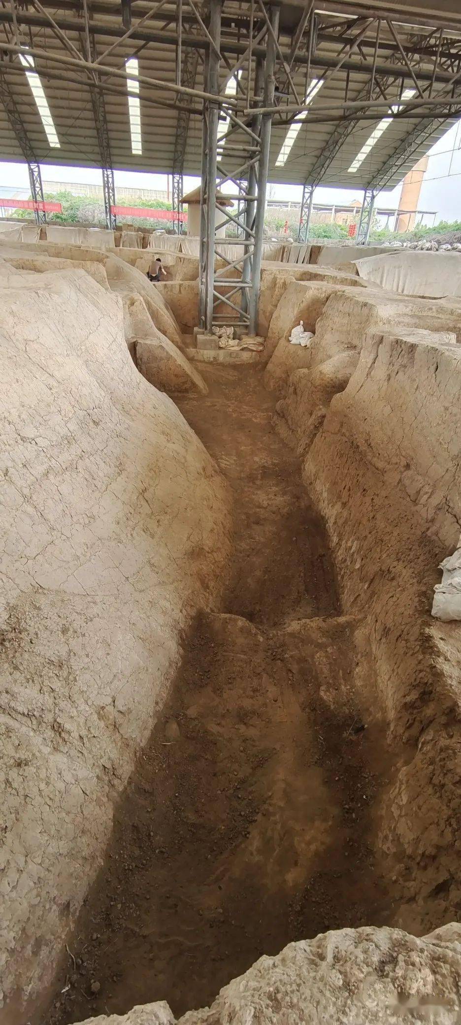 周口淮阳时庄遗址:中国最早的"粮食仓城"很智慧_粮仓_遗迹_考古