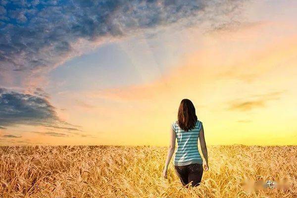 陈瑛:渐渐远去的背影_外滩_手机_建筑物