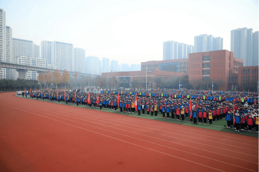 据可靠消息:彩虹文兴学校(暂定)引进了彩虹的教育资源,为小学 初中九