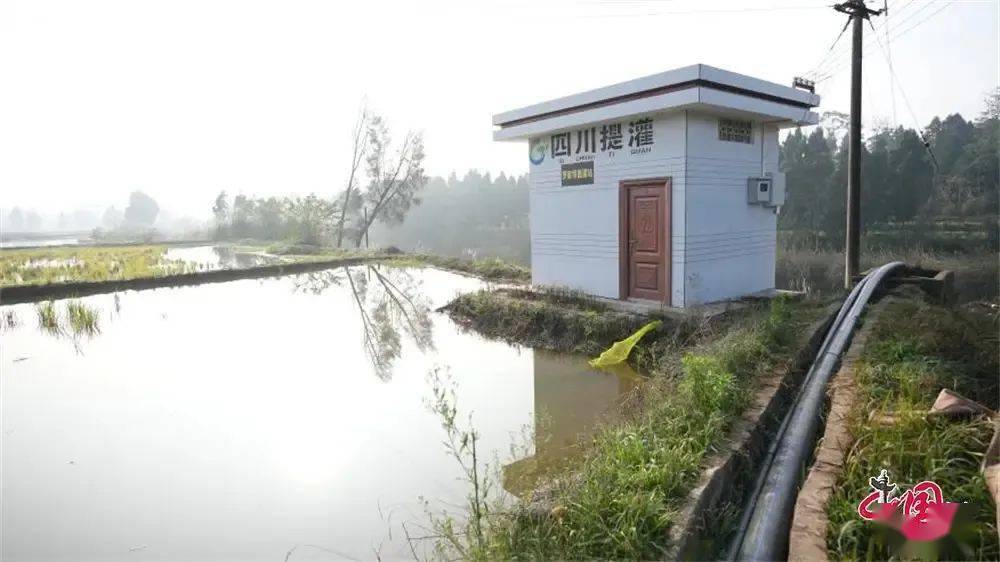 资阳安岳:新建15座提灌站 让2100余亩良田"喝饱水"