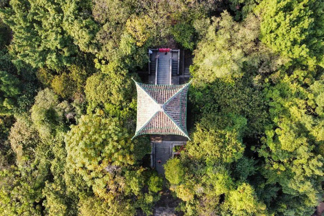 悠久热闹的华盖路,俯瞰凤城的华盖山栈道,声名在外的莘村大街,金榜街