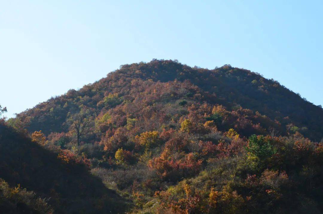 美麗的孫家坪峽谷_井村_村裡_坪村