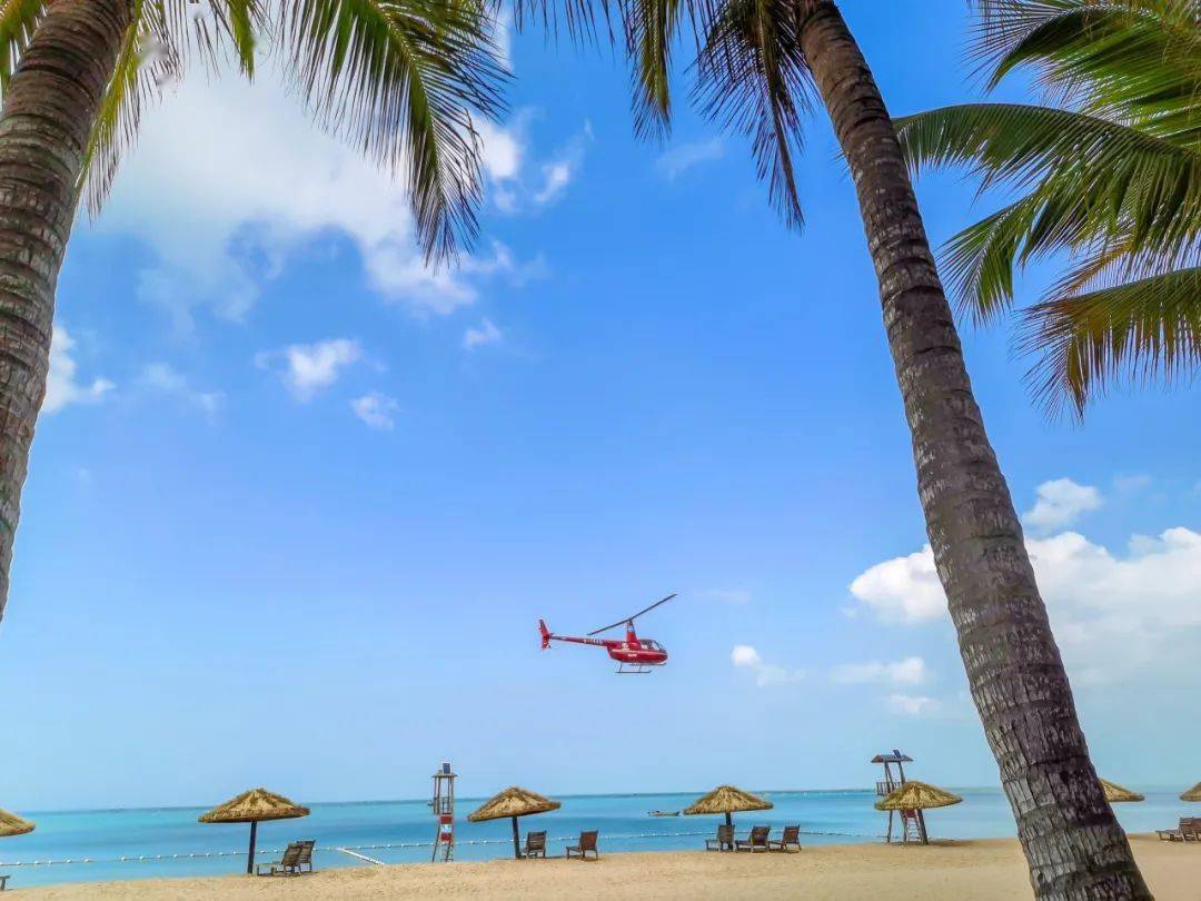 千万粉的旅游博主来到秋冬的湛江:我想记住每一个瞬间_张锋锋_渔港