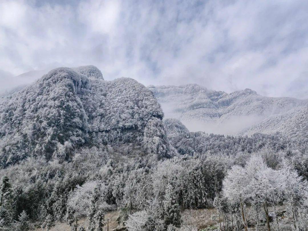一场大雪,让大瓦山美出了圈!_金口河_版权_银装