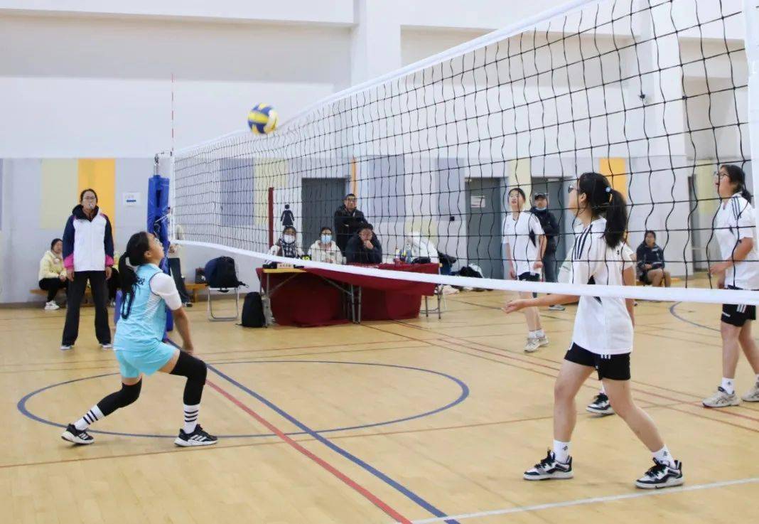 排球获奖名单来了!_女子组_高中_传球