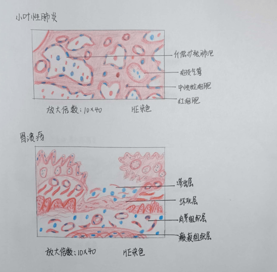 青春有樣 