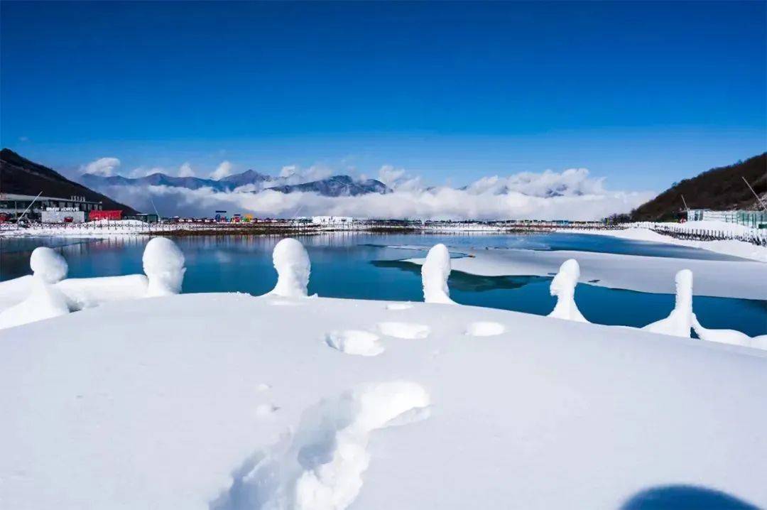 12月23日九鼎山·太子嶺滑雪場開業啦~_景區_茂縣_運動