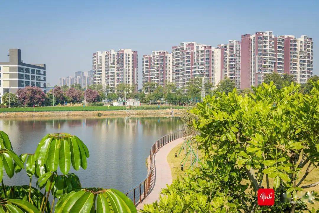 产业兴旺的大良五沙变美了,不信元旦假期来看看吧_园区_社区_公园