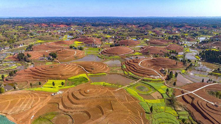 宜宾翠屏:北域现代农业园区项目火热推进中_翠屏区_建设_白花镇