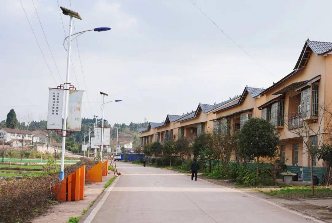 【文明村镇巡礼】丹山镇顺家村:持续巩固文明创建成果,不断加强和谐