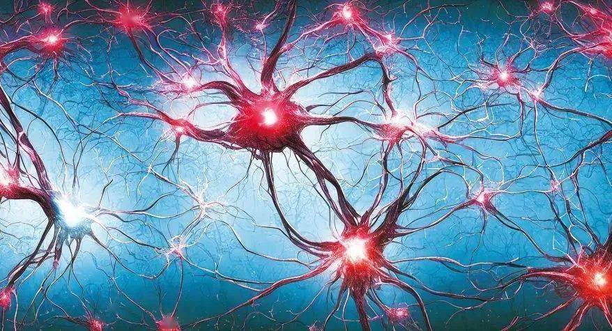 它们发出的生物电在机体发育,伤口愈合和细胞癌变等方面发挥着重要