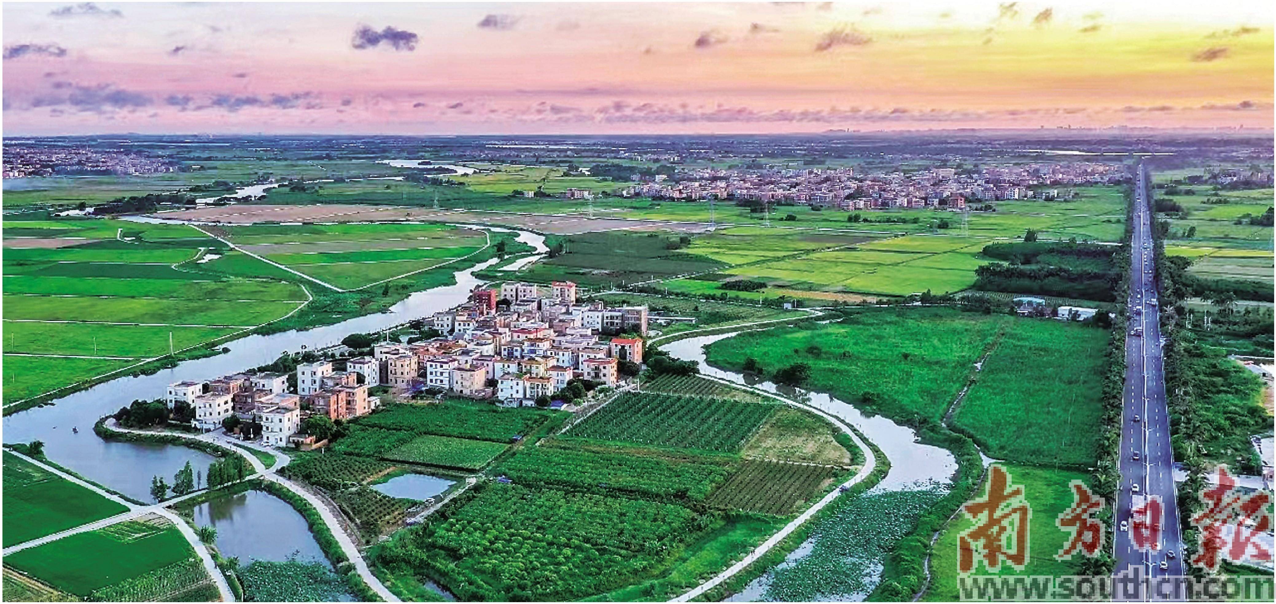 村民在公園裡聊天.村民種植的番石榴甜脆多汁.