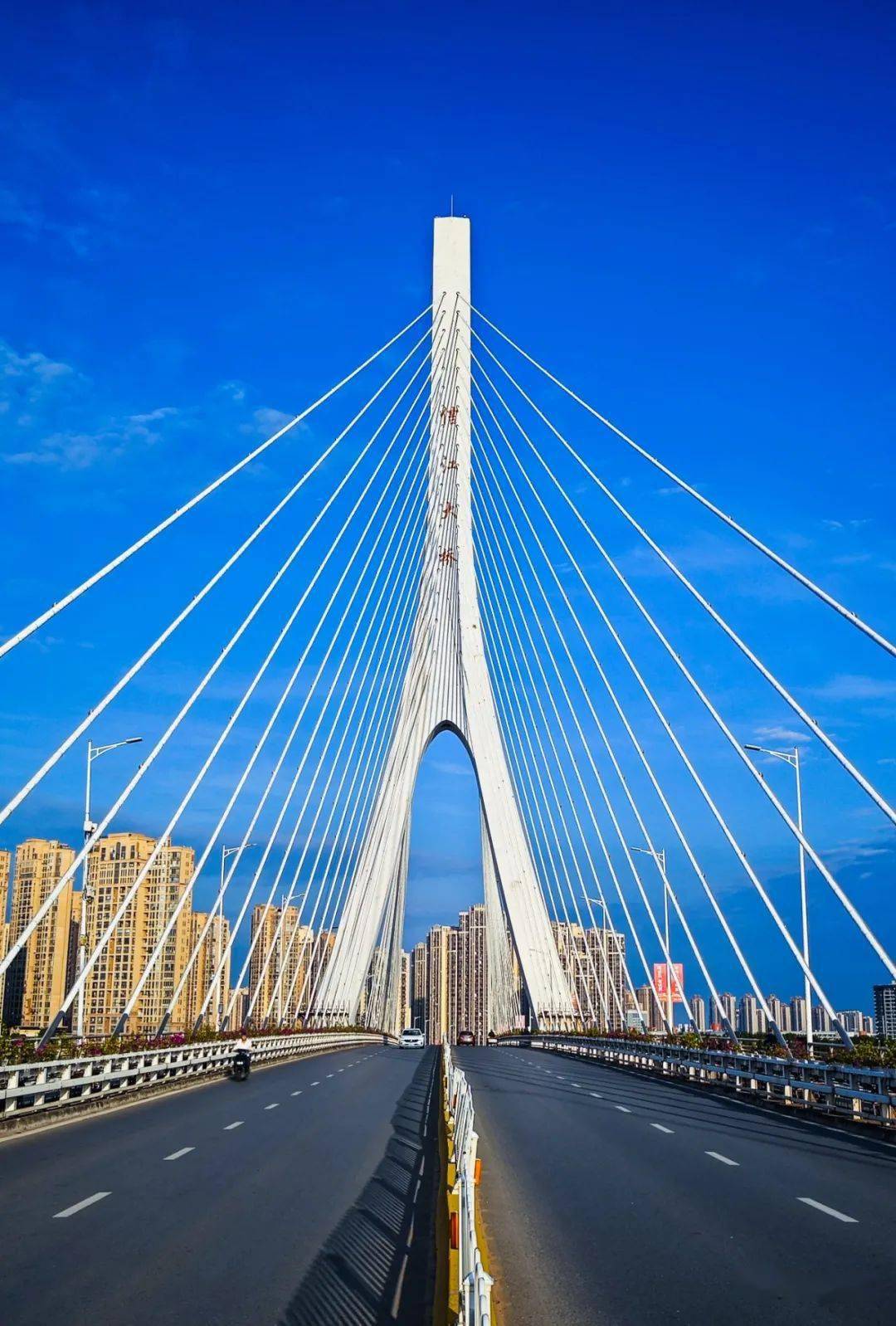 鹰潭:信江大桥夜与晨_贵溪_开平_白鹤