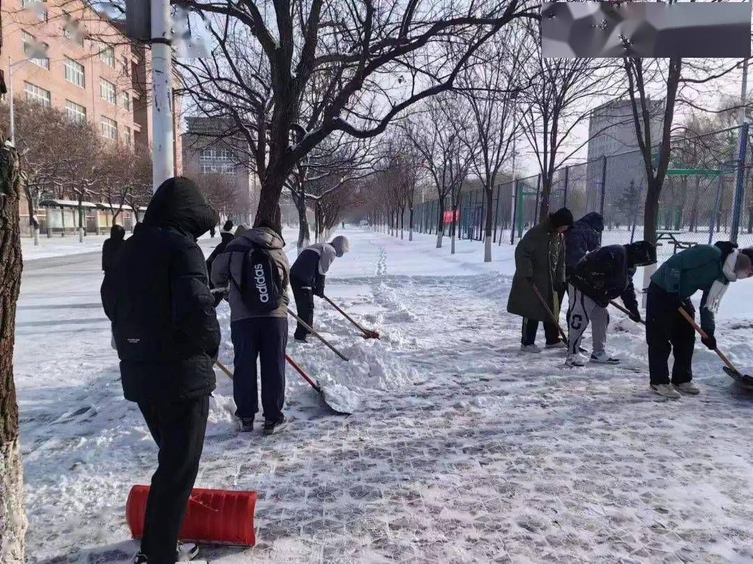 关于扫雪简单文案图片