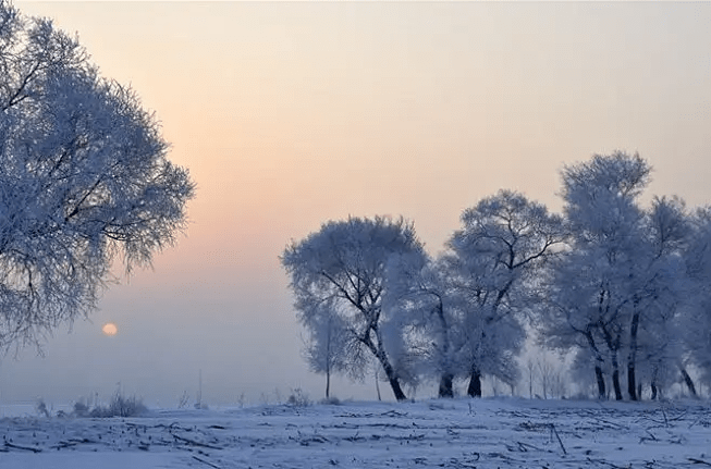 對著落在屋簷上的薄雪,似觸摸到羈留在心上的一段清冽,此外便只有喑啞