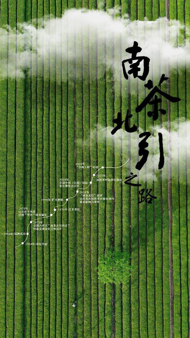 组织部纪录片《南茶北引之路》特别奖(1部)一起了解这些获奖优秀作品!