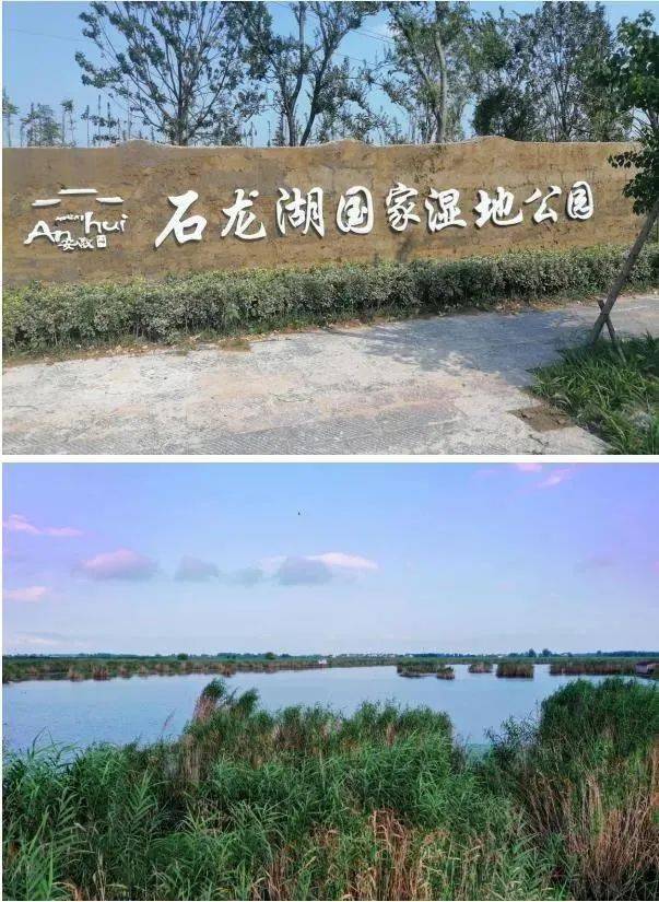 宿州仙湖湿地公园图纸图片