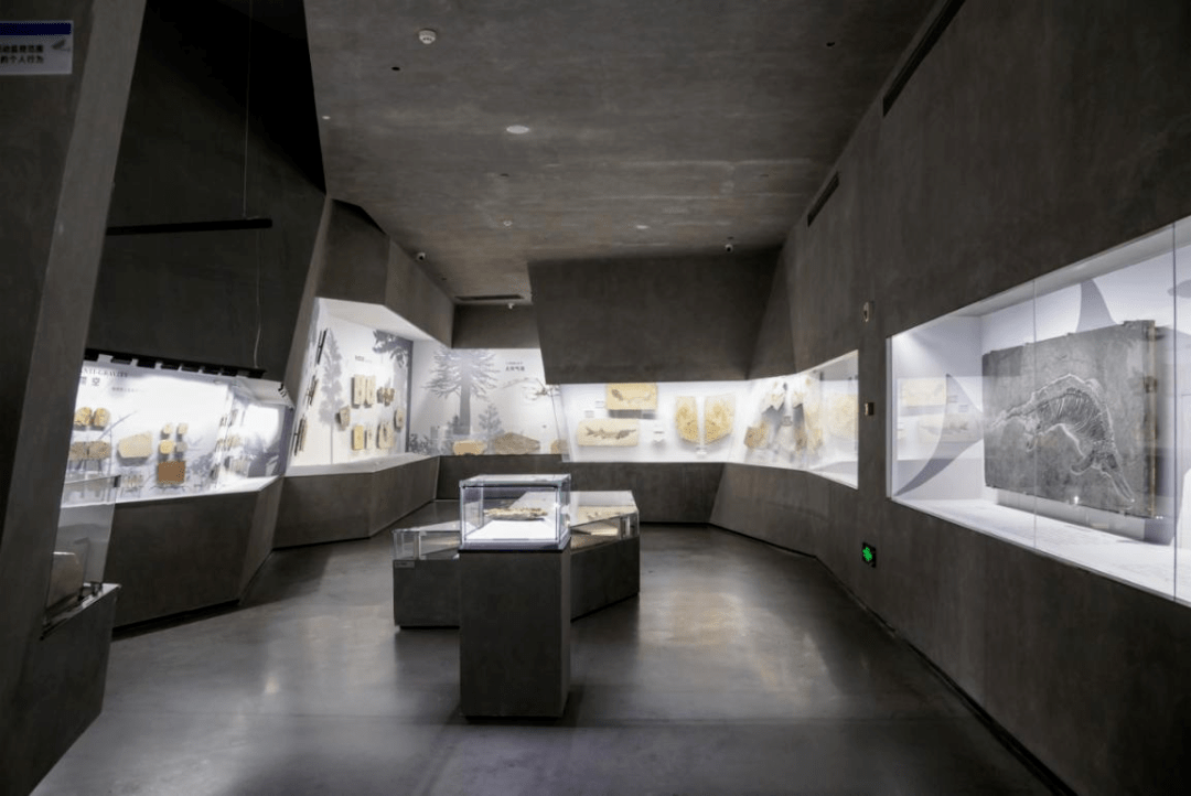 英良石材博物馆图片