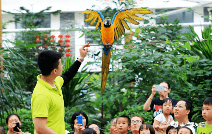 南宫鹦鹉园门票图片