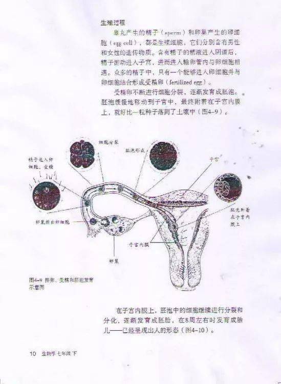 初二生物课本污9页图片