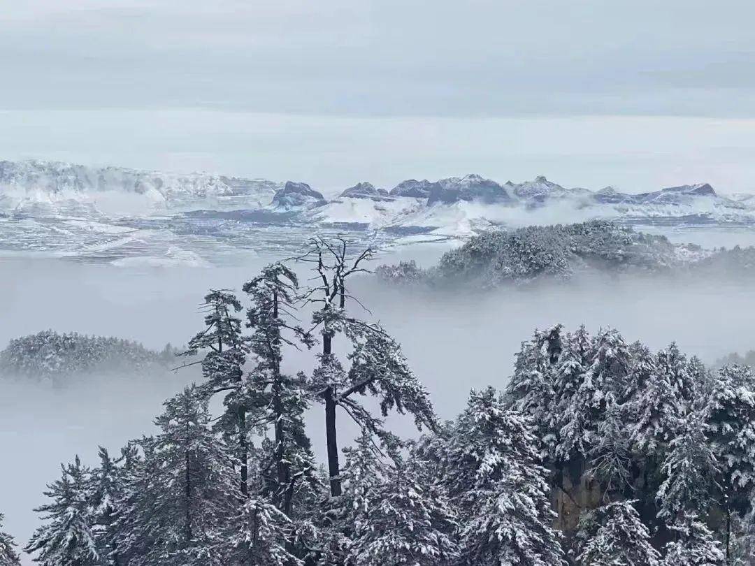 12月28日,遮阳山"冰雪嘉年华"开园迎客!门票免费送!_雪地_活动_漳县