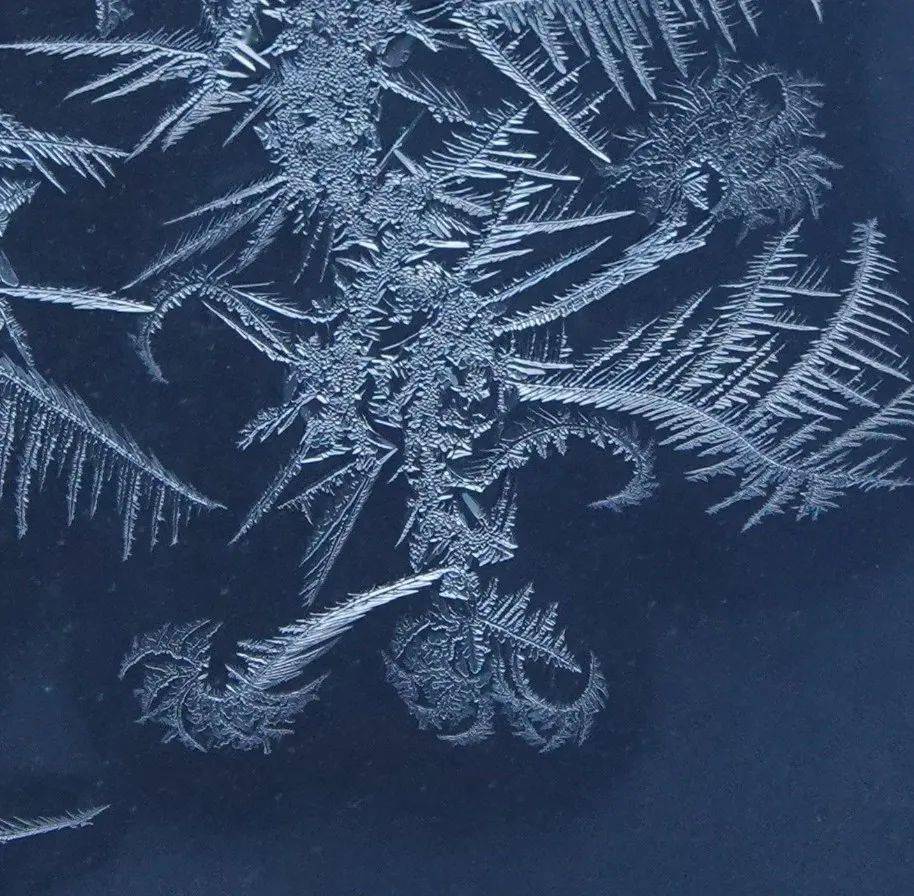 冰窗花"盛开" 每一朵都是不可复制的美好