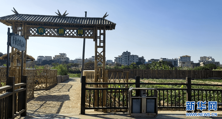 乡村振兴在行动|晋江英林:解开富民强村幸福路的活力密码_英林镇_产业