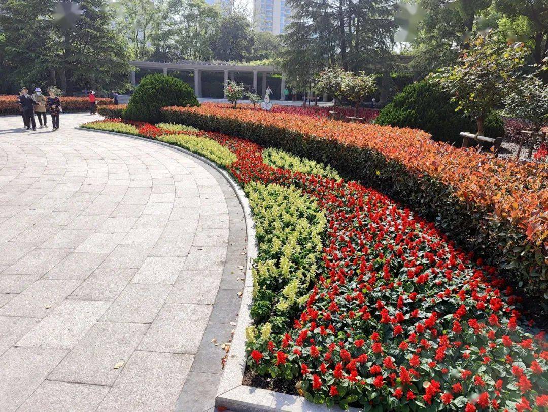 这座曲阳人常去的公园获奖啦_花坛_植物_花卉