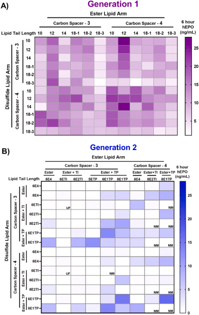 fig.2在小鼠體內肌肉注射6h後,gen1和gen2 lnp所產生的hepo蛋白fig.