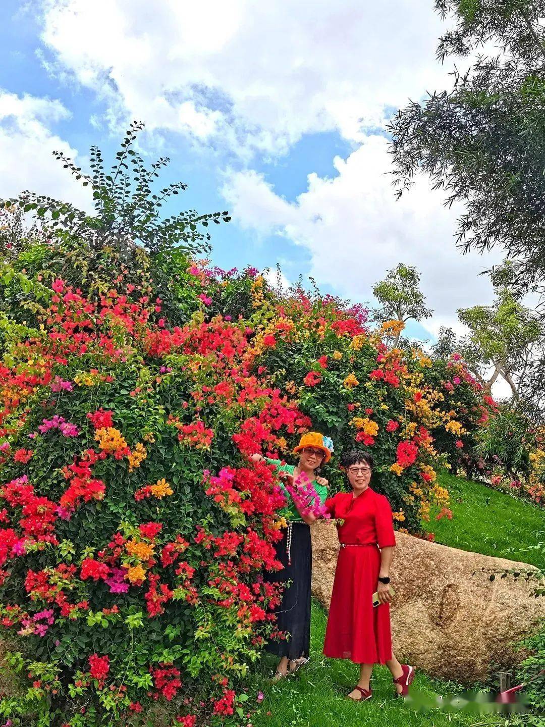 馬嶺觀花植物園盛大開園!超好玩!大型鹿島公園 松鼠王國 孔雀仙境 鸚