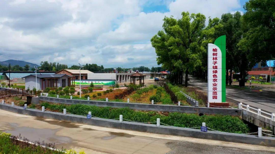 红番香韵榆树林_发展_群众_产业