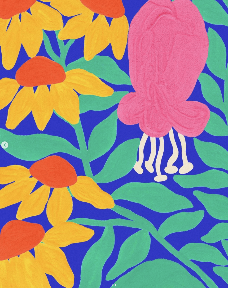 荞头插画&分享——第493期(澳大利艺术家liv lee)_生活_植物_功能