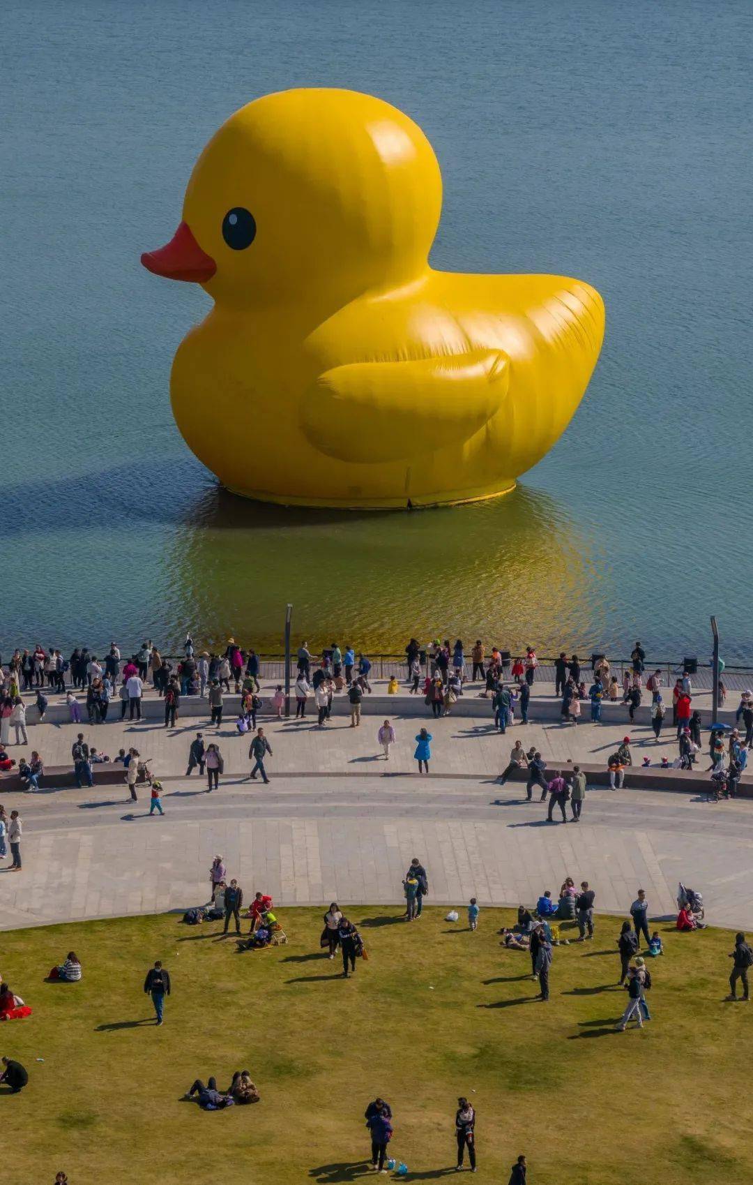 嘎嘎嘎,和大黄鸭一起跨年ya_深圳人_公园_人才