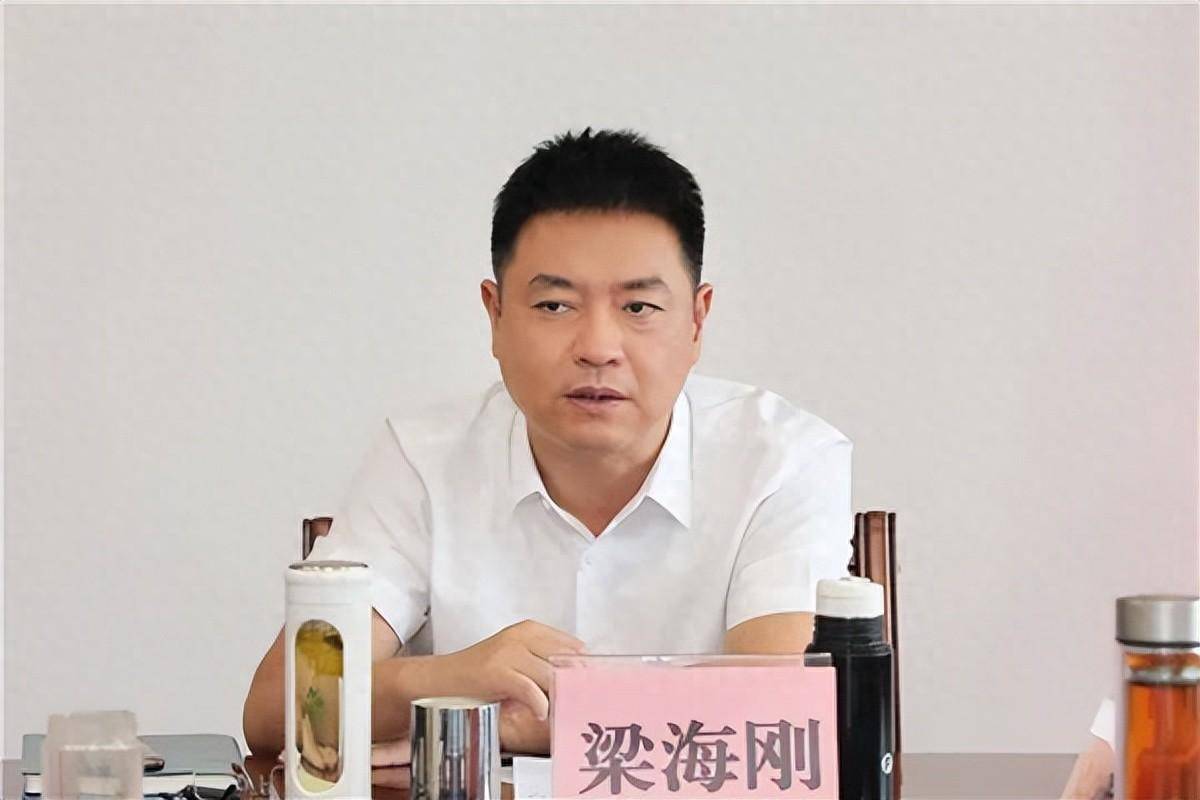 又一位县长,兼任公职律师_工作_松阳县_法律