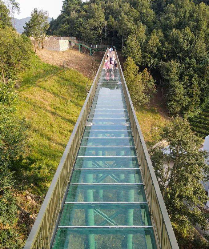 年末压轴登场,汤池花间苑·泉岚预告篇重磅来袭_阳光_庐江_山色