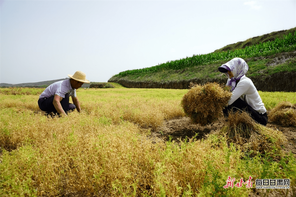 【新甘肅年終策劃】致敬2023·鏡頭裡的甘肅_保護_冬日_生命