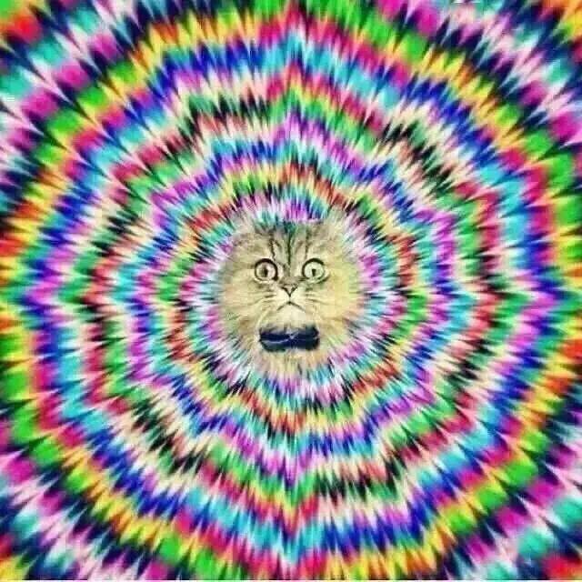 真不是语气!有可能是真晕