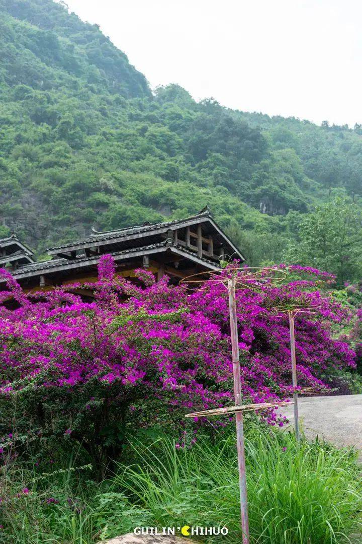 花園_套餐_規則