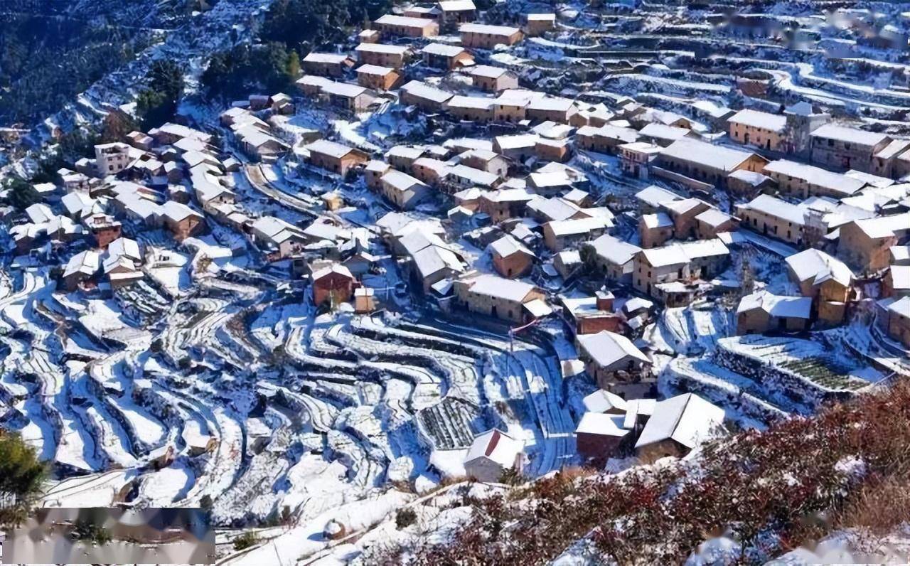 车前村:高山之巅,云海之间_韵味_遂昌_云雾