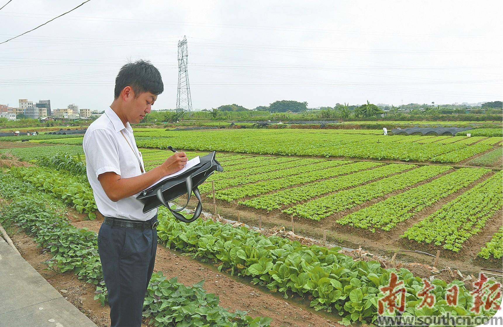 特色服務為筆 譜寫新農村樂章_建設_融資_金融