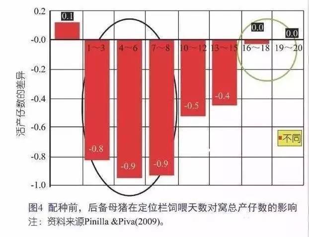 我是如何把每头母猪年断奶仔猪数(psy)从14做到35的?_生产_管理_种猪