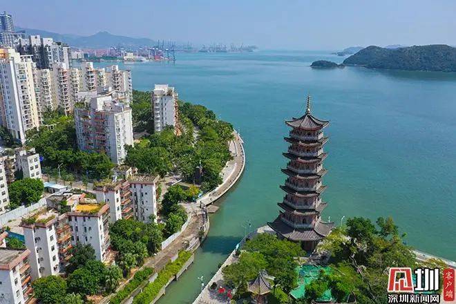 最后,您可以选择乘坐金色海岸游艇进行游览.