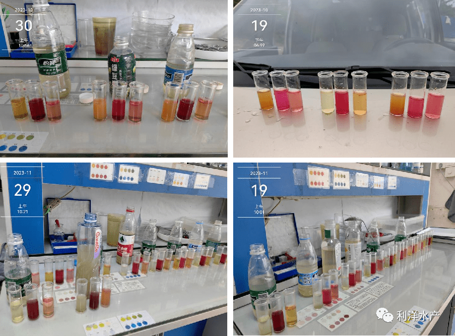 入冬前水質變化大,特別是氨氮突然大量轉化為亞硝酸鹽時,亞硝酸鹽超過