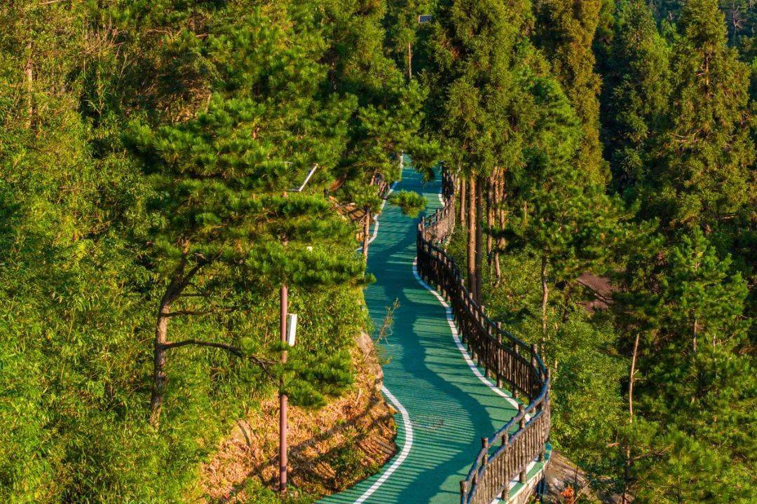 玉苍山风景区电话图片