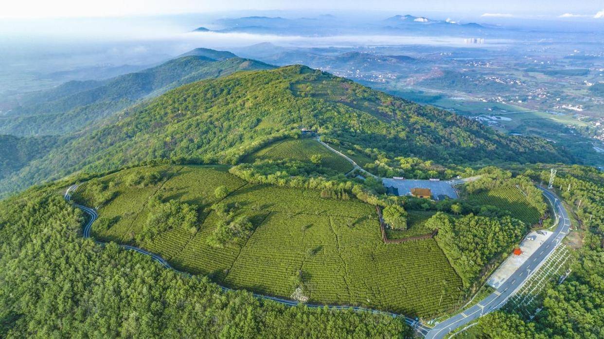 肥东浮槎山总体规划图片