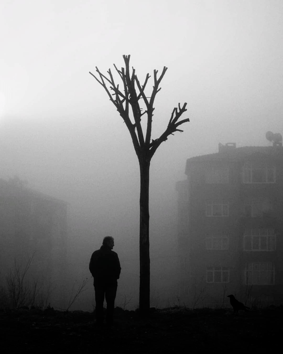 孤独是生活常态